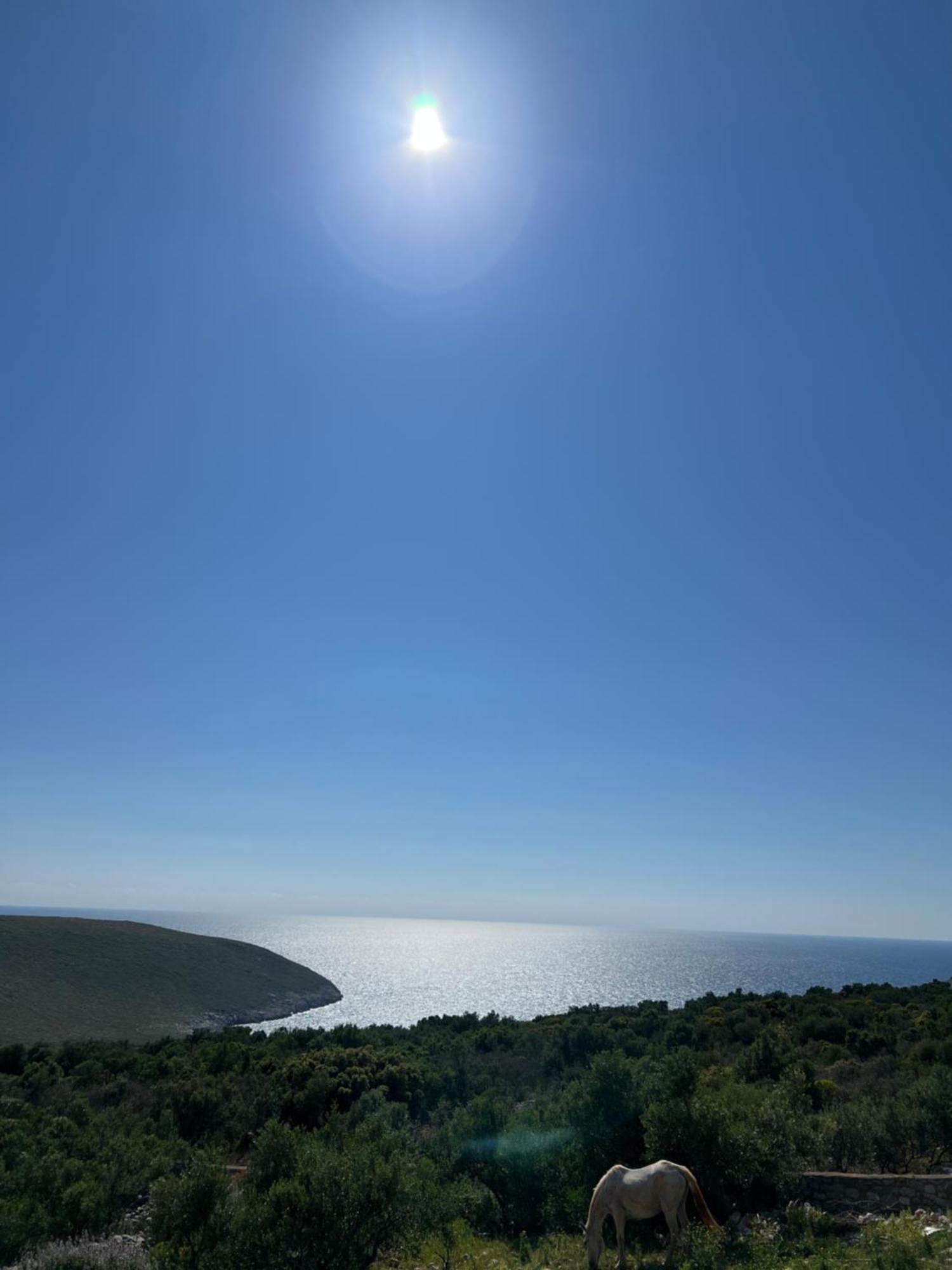 Koukouri Village Kafióna Kültér fotó