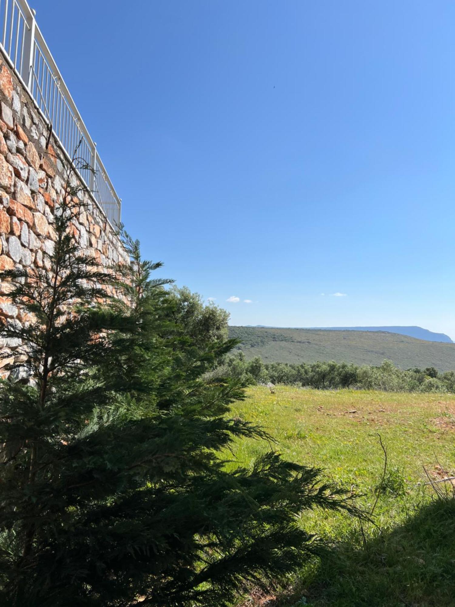 Koukouri Village Kafióna Kültér fotó