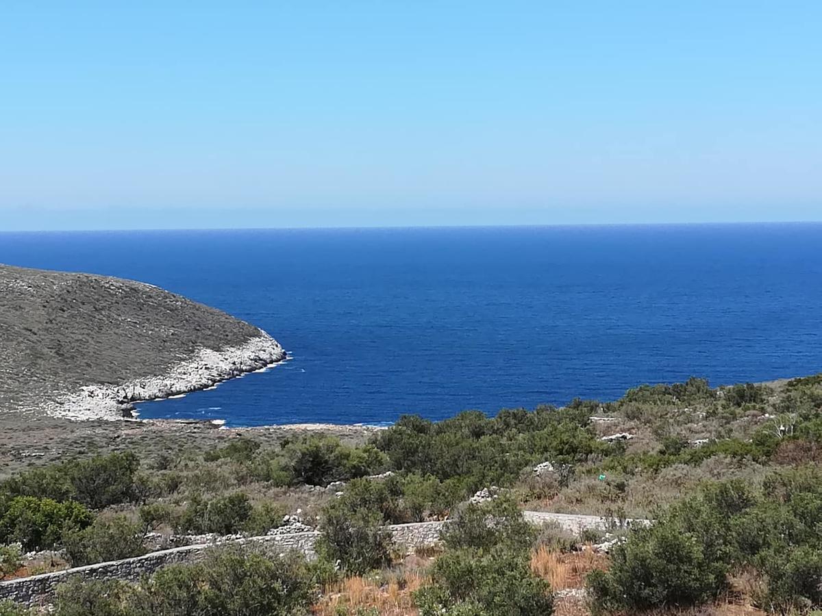 Koukouri Village Kafióna Kültér fotó
